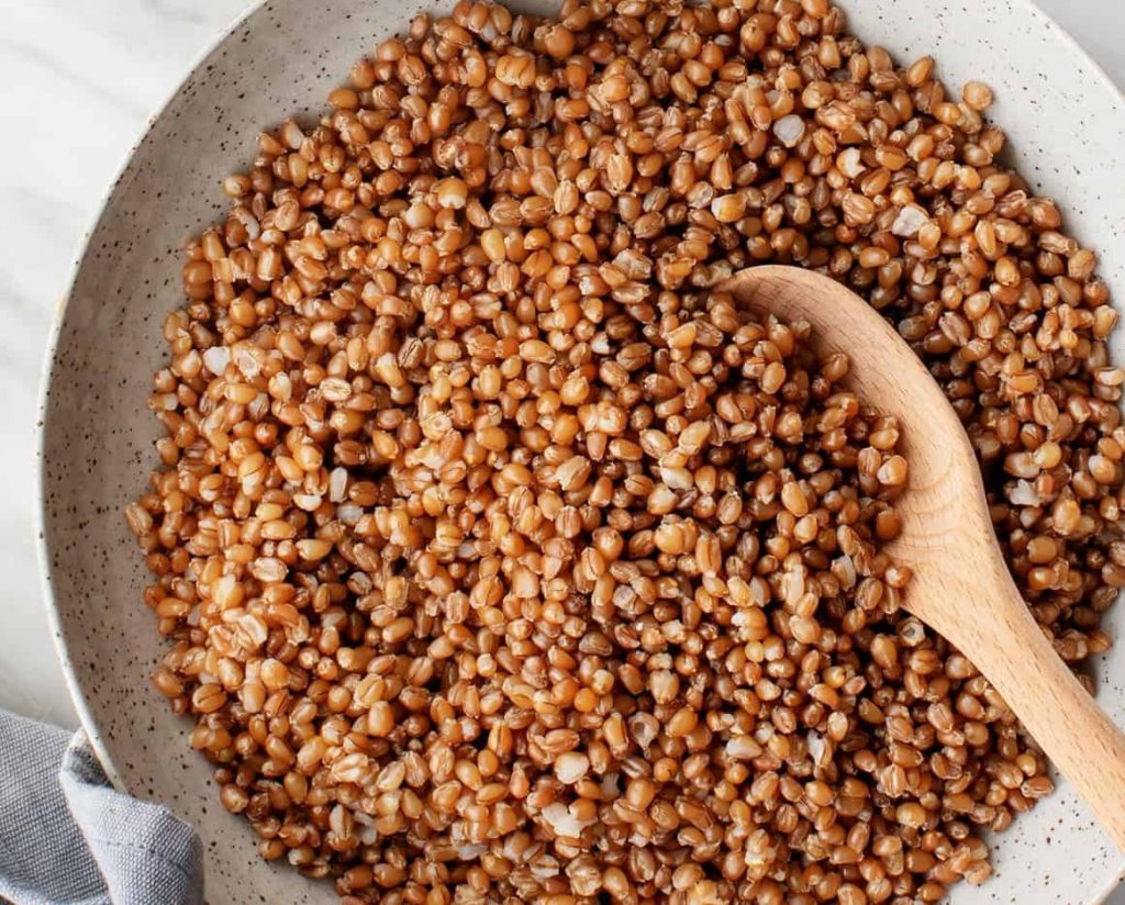 15 Best Pearl Barley Substitutes That You Can Try TheFoodXP 雷电竞reyba下载