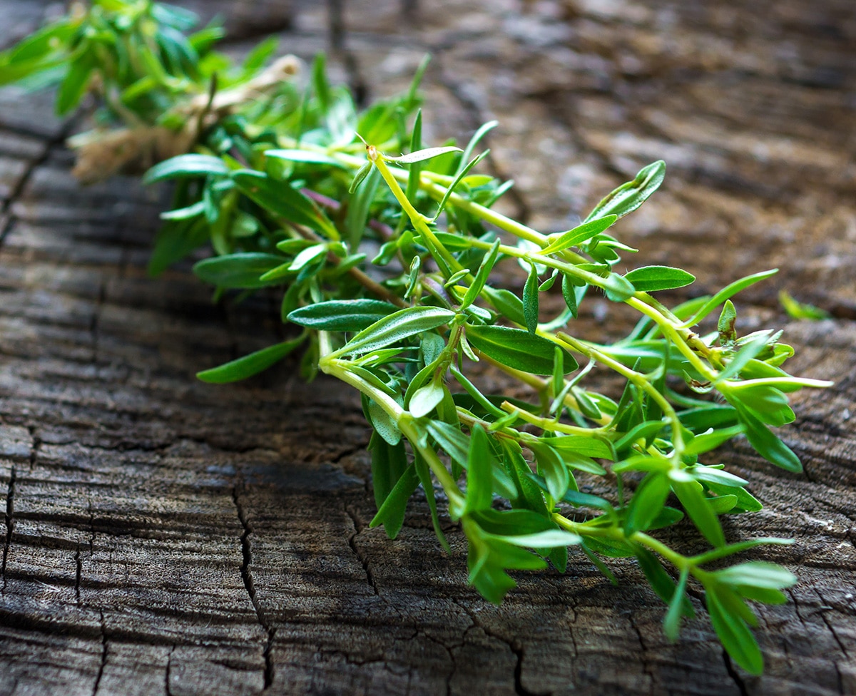 9 Best Savory Herb Substitutes You Can Try! TheFoodXP 雷电竞reyba下载